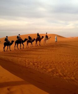 caravan-desert-safari-dune-53537